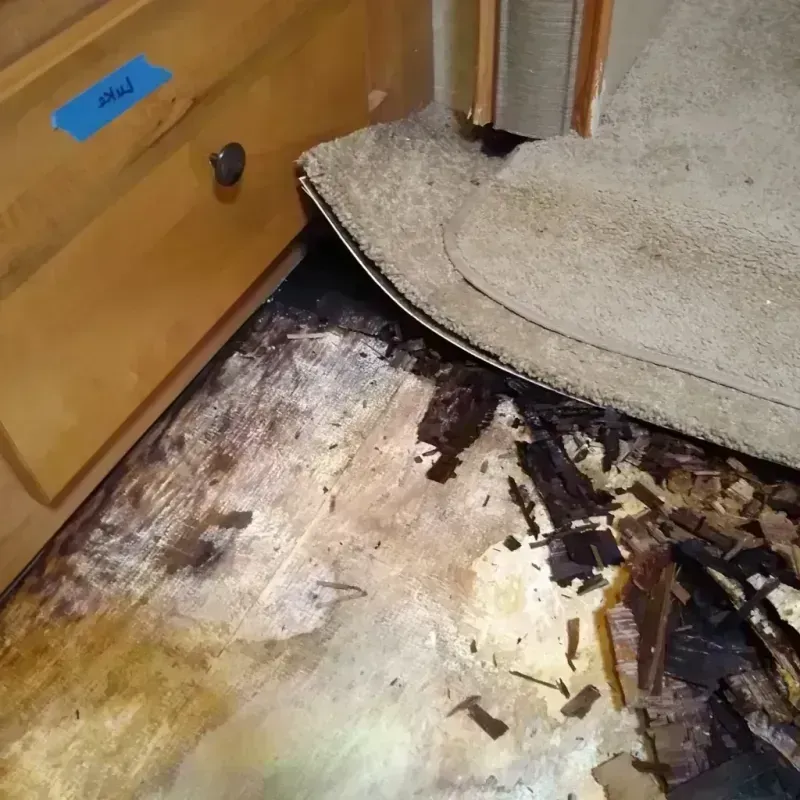 Wood Floor Water Damage in Golden Valley, MN